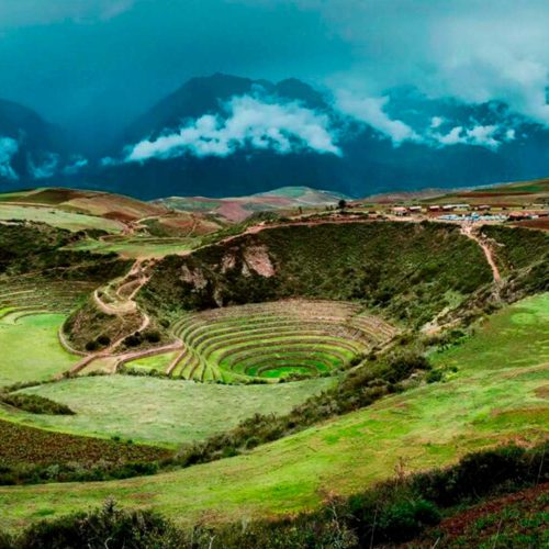 moray